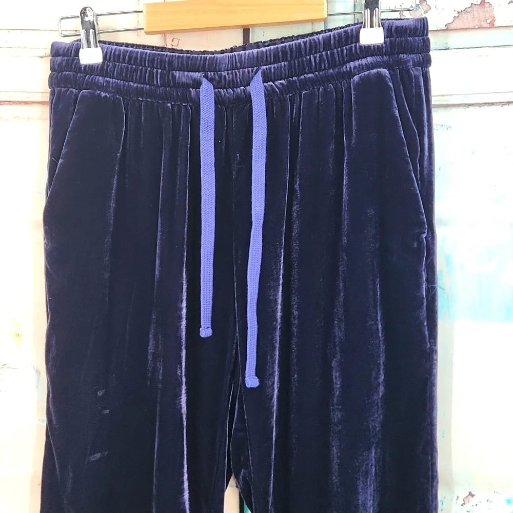 J. Crew Velvet‎ Lux Jogger Pant Navy Twilight